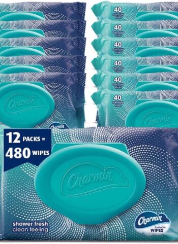 Charmin Flushable Wipes, 480 Total Wipes (12 Packs of 40)
