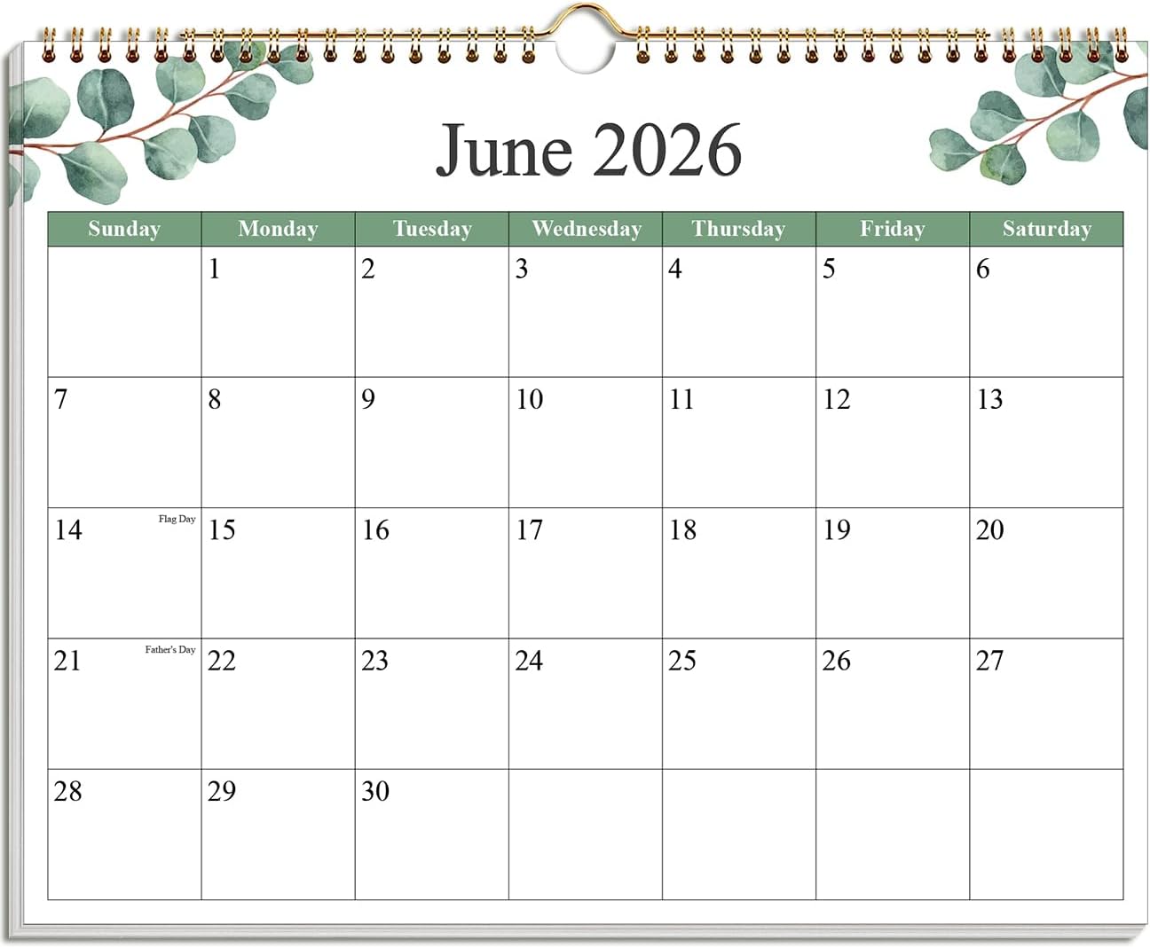 2026-2027 Calendar - Calendar 2026-2027 from June 2026 - December 2027, 19 Months Calendar with Premium Paper, Twin-Wire Binding & Hanging Hook, 12" x 14.5", Green Leaf