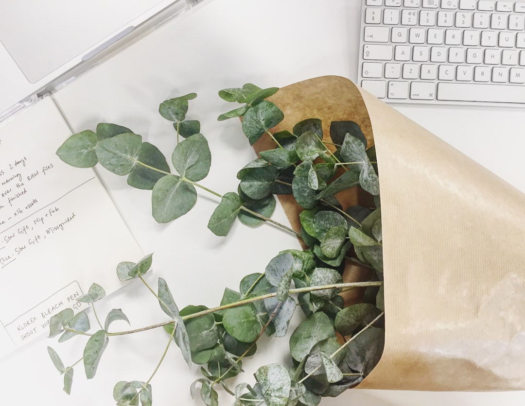 Discover the Best Eco-Friendly Office Supplies at Nexusequips.com